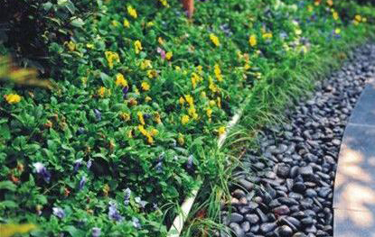 =營(yíng)山縣三星路道路排水改造工程設(shè)計(jì)